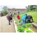 TROC-PLANTES.jpg